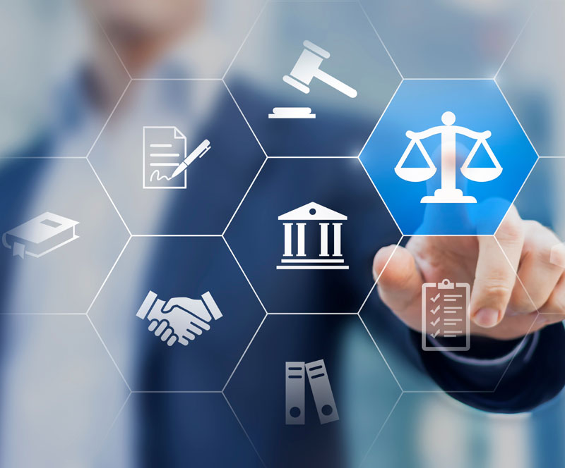 Litigation Support and Expert Witness Services